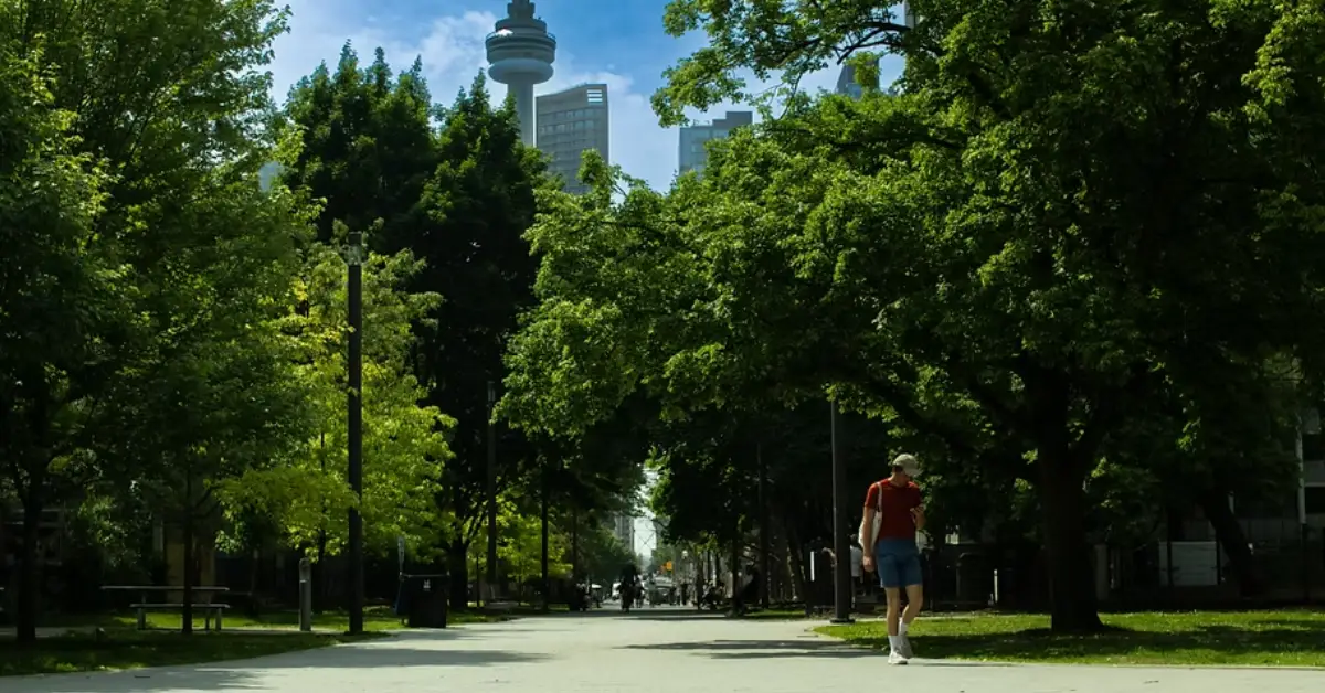 A-person-walks-along-a-tree-lined-path-with-the-CN-Tower-visible-in-the-background-framed-by-bright-blue-skies-and-green-foliage